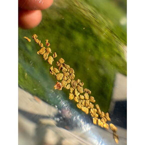 0.10 grams of Alaska Gold Flakes in Jar - Picture 9 of 9